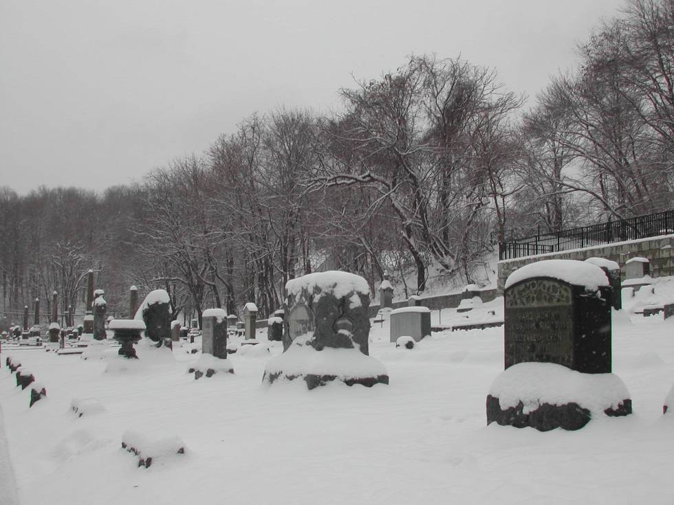 Snow snow snow