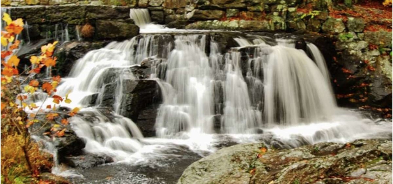 Making History Every Day – March/April 2026 Volume 8, Issue 2