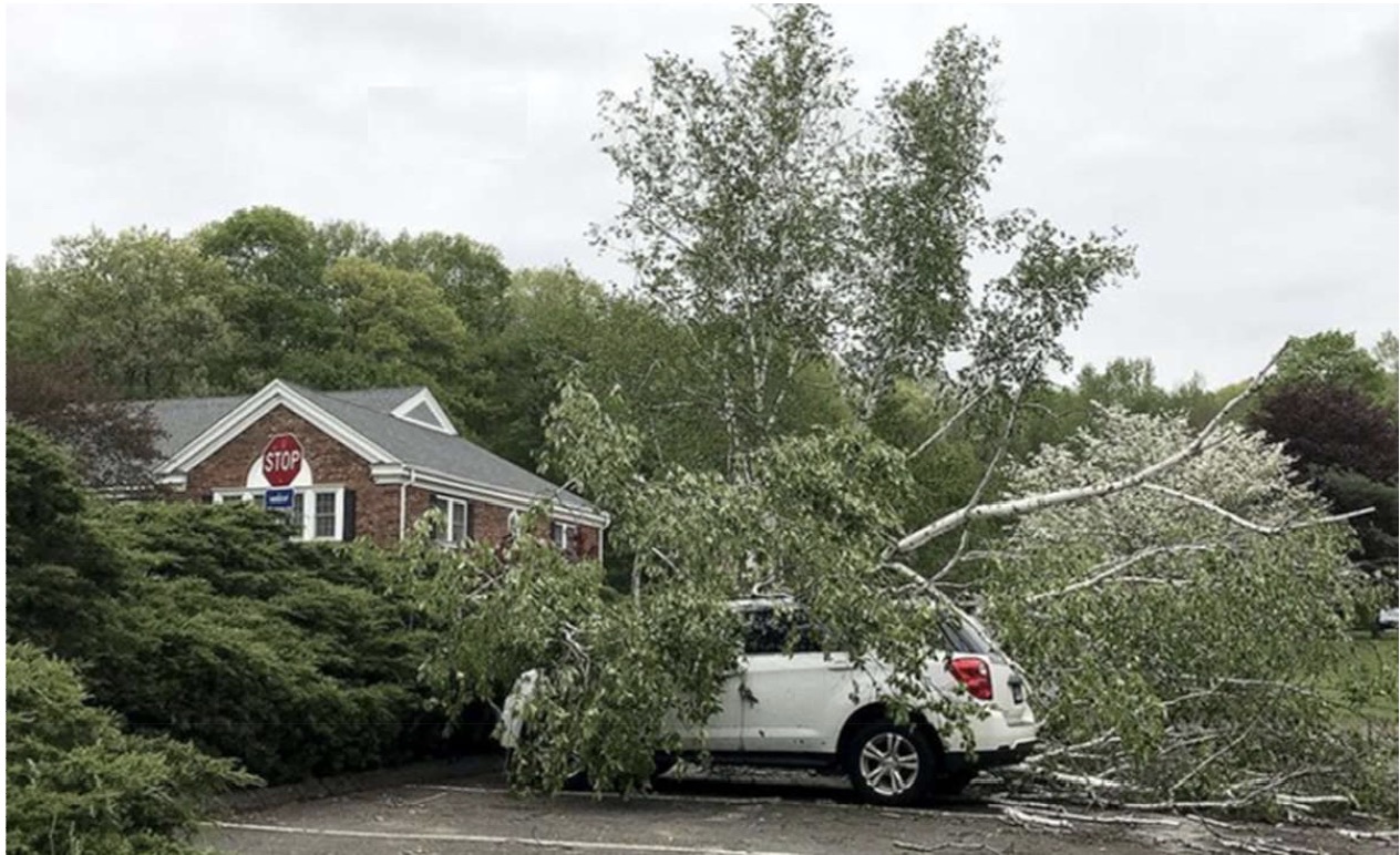 photo from VOICES, shows a tree crashed onto a car parked at the Oxford Town Hall he said.